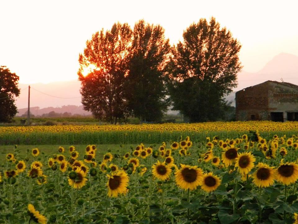 Agriturismo Settepassi Tuscany Ponte Buggianese Exterior photo